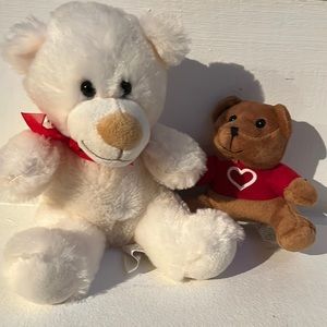 Valentine's Day Bear